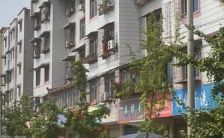 农行家属院2室1厅西南