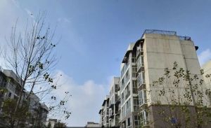 东虹路65号院1室1厅南