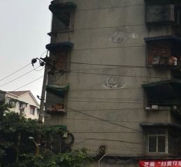 西林小区 1室1厅 南