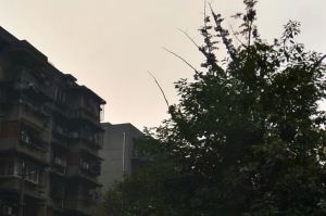 西林小区3室2厅南