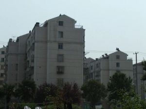 海港新村 地铁口 视野开阔 家中看狼山好房一付一种