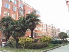 一/中,金鹰,圆融,文峰,双地铁口,诚心出售