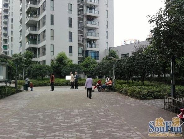 小区相关图