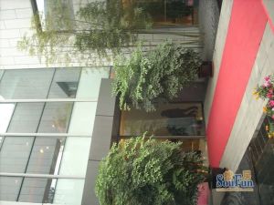 阳光新业中心 1室1厅 南