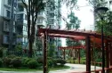 416医院住宅实景图