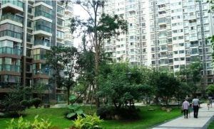 二环路北四段4号2室1厅西南西东北