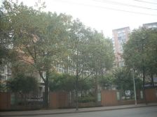 川大农林村 3室1厅 南