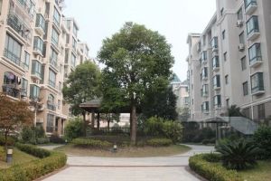 户型楼层好,采光佳,万达广场,房东诚心卖价格可以谈