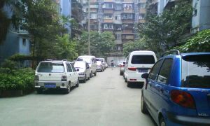 营康路8号2室1厅东南