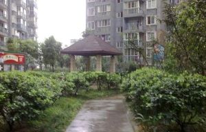 锦馨家园C区1室1厅南