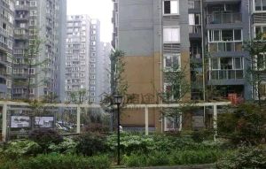 锦馨家园B区2室2厅西南