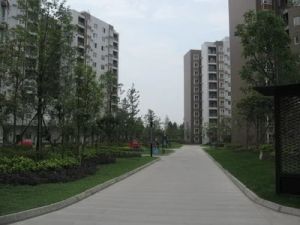 大同上郡西区2室1厅东南