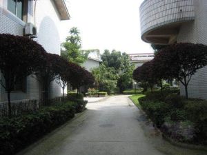 瑞丰苑(双流)2室1厅南