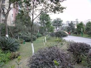 新和理想家1室1厅东南