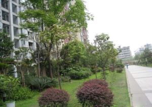 新和理想家 2室1厅 东南