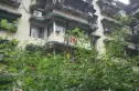 银沙路98号院实景图