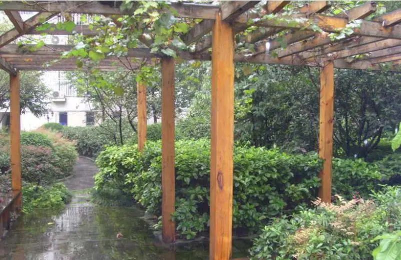 实景图