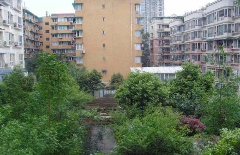 实景图