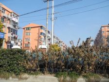 城南新村健康楼层三室一厅精装