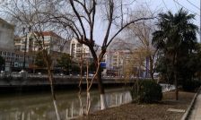 北濠桥东村 二期好位置,低楼层,不想爬楼的来。