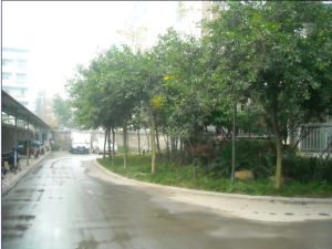 锦绣天居3室2厅西南