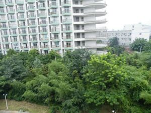 五角大楼2室1厅东南