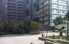 曼哈顿自然派3室1厅北