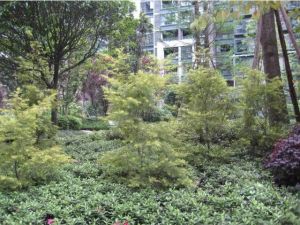新光花园1室1厅东