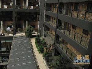 曼哈顿自然派1室1厅东