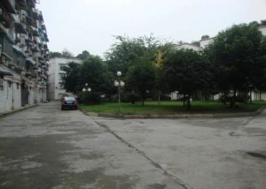 信合花园 3室1厅 东南