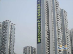格调城3室1厅西南