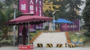 格调城2室1厅东南