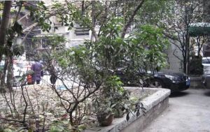 西安中路一巷35号2室1厅东南