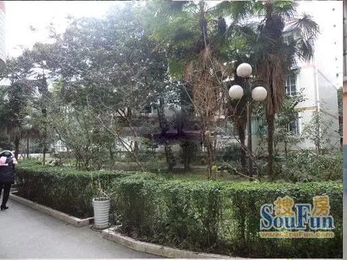 小区相关图