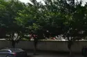 建设路小学宿舍实景图