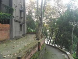 旭光小区3室1厅南