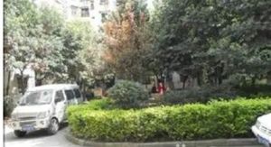 旭光小区3室2厅南