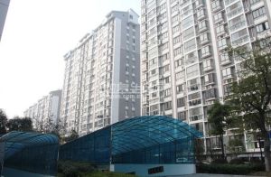 浅水湾电梯房绿化高诚心出售2房2厅出行便利