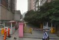 金沙蜜地实景图