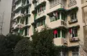 柳苑实景图