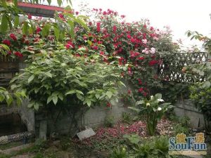 银海花园六期3室2厅东南