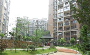 弗客城3室2厅西