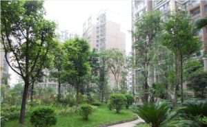 弗客城3室1厅北