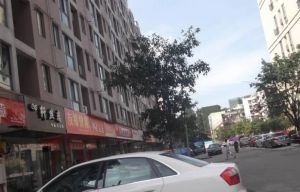荷里活1室1厅南北