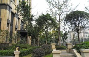 绿地海珀香庭 3室2厅 东南