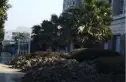 名人花园实景图