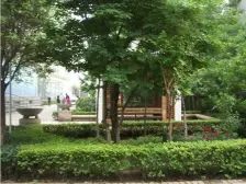 对望CBD,会展中心一览无余单价 多