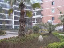 宜家旁,地铁口 小两居,刚需婚房的可选,公摊少