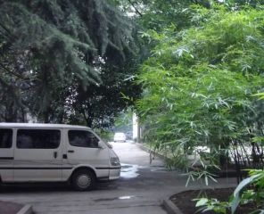 沙湾路71号2室1厅南北