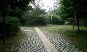 金沙逸苑 1室1厅 西南